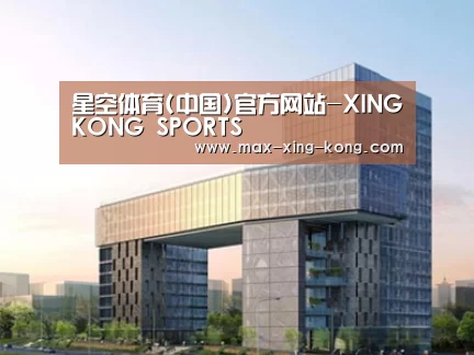 案例展示四